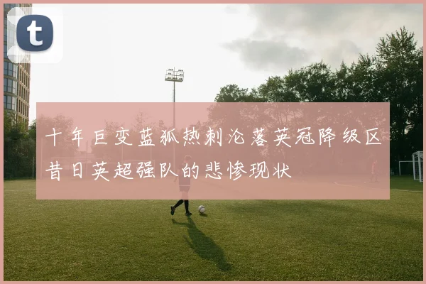 十年巨变蓝狐热刺沦落英冠降级区昔日英超强队的悲惨现状
