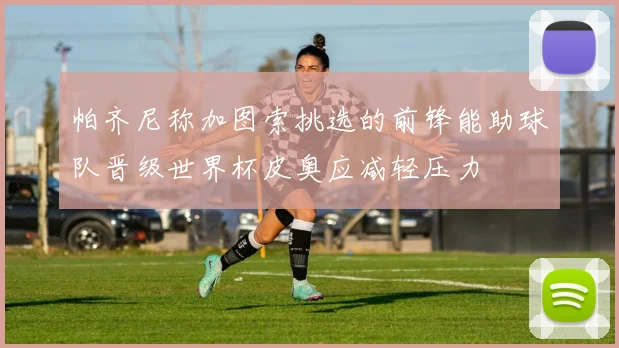 帕齐尼称加图索挑选的前锋能助球队晋级世界杯皮奥应减轻压力