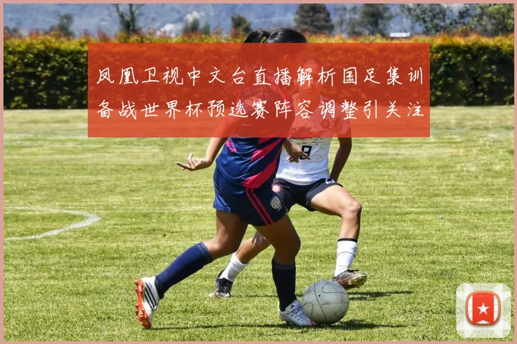 凤凰卫视中文台直播解析国足集训备战世界杯预选赛阵容调整引关注