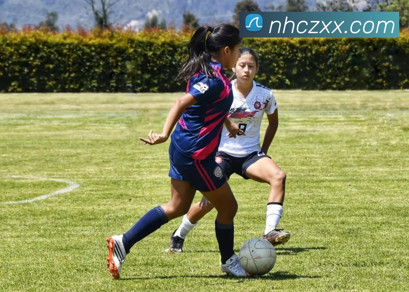 九游j9官网入口老版本平台生态图